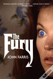 Capa do artigo Fury