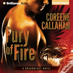 Capa do artigo Fury Of Fire