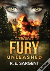 Capa do artigo Fury