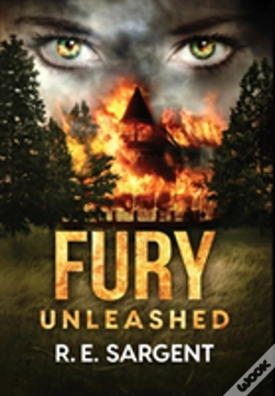 Capa do artigo Fury