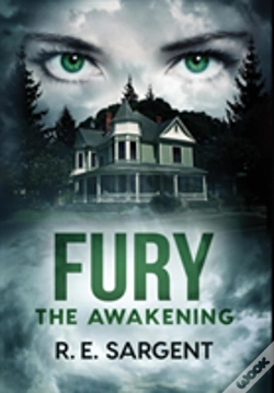 Capa do artigo Fury