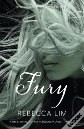 Capa do artigo Fury