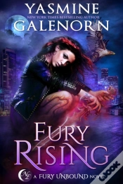Capa do artigo Fury Rising