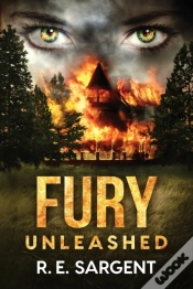 Capa do artigo Fury