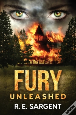 Capa do artigo Fury