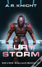 Capa do artigo Fury Storm
