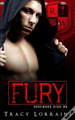 Capa do artigo Fury