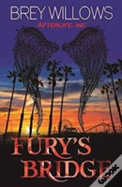 Capa do artigo Fury