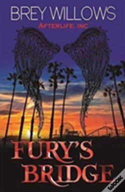 Capa do artigo Fury'S Bridge