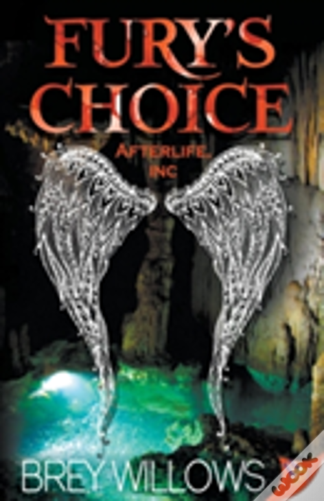 Fury'S Choice