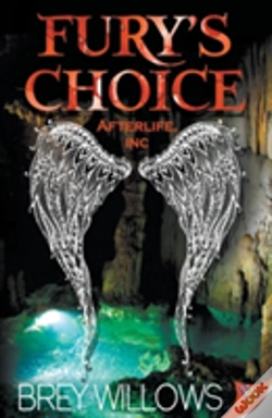 Capa do artigo Fury'S Choice
