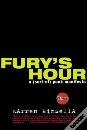 Capa do artigo Fury