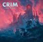 Futur Medieval - Vinil - Preview