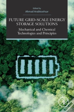 Capa do artigo Future Grid-Scale Energy Storage Solutions