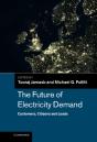 Future Of Electricity Demand - Preview