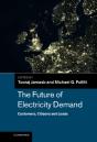 Future Of Electricity Demand - Preview