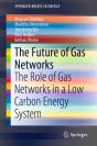 Future Of Gas Networks - Preview