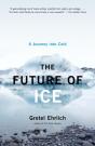 Future Of Ice - Preview