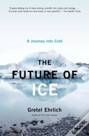 Capa do artigo Future Of Ice