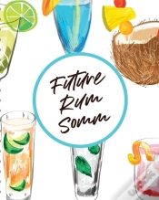 Capa do artigo Future Rum Somm