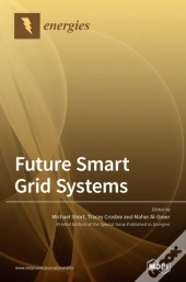 Future Smart Grid Systems