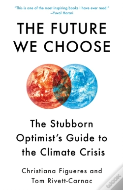 Capa do artigo Future We Choose