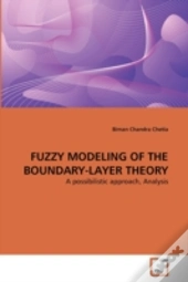 Fuzzy Modeling Of The Boundary-Layer Theory