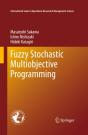 Fuzzy Stochastic Multiobjective Programming - Preview