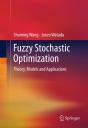 Fuzzy Stochastic Optimization - Preview