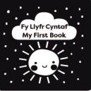 Fy Llyfr Cyntaf / My First Book