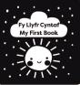 Fy Llyfr Cyntaf / My First Book - Preview
