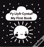 Capa do artigo Fy Llyfr Cyntaf / My First Book