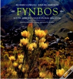 Capa do artigo Fynbos