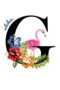 G Aloha - Preview