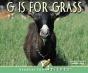 G Is For Grass - Preview