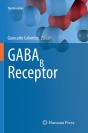 Gabab Receptor - Preview