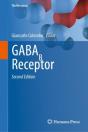 Gabab Receptor - Preview