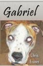 Gabriel - Preview