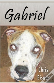 Capa do artigo Gabriel