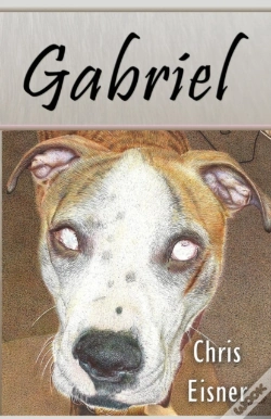 Capa do artigo Gabriel