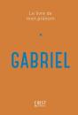 Gabriel - Preview