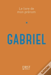 Capa do artigo Gabriel