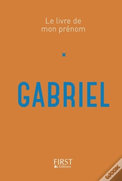 Capa do artigo Gabriel