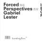 Gabriel Lester - Preview