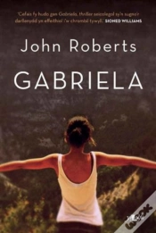 Capa do artigo Gabriela