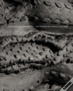 Capa do artigo Gabrielle Wambaugh
