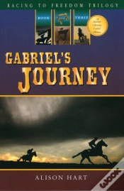 Capa do artigo Gabriel