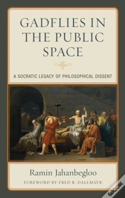 Capa do artigo Gadflies In The Public Space