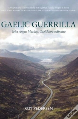 Capa do artigo Gaelic Guerrilla