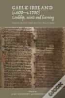 Gaelic Ireland (C.600-C.1700): Lordship, Saints And Learning